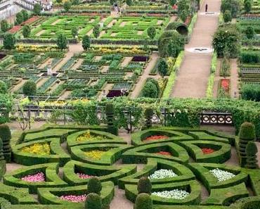 Projet 52: géométrie