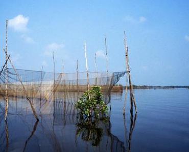 Tonlé Sap, derniers jours