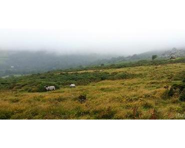 Parc National du Dartmoor