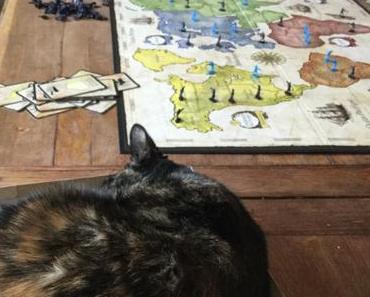 Le petit garçon et le chaton