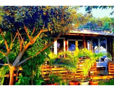 Location Piton St Leu La maison Zen