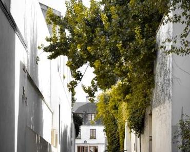 La Butte-aux-Cailles fait son street art