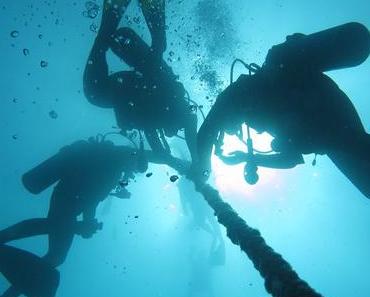 Les 3 meilleurs spots de plongée en Guadeloupe