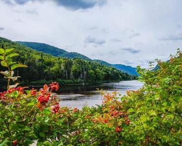 Visiter le Parc de la Jacques Cartier près de Québec