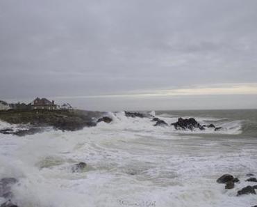Dennis à Batz-sur-mer