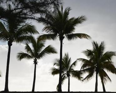 LA REUNION FEVRIER 2020