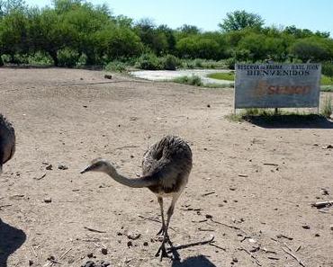Le petit zoo de Carmelo