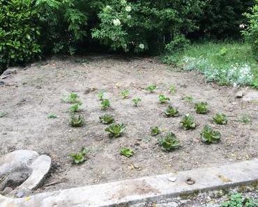 Friday Feelings #268