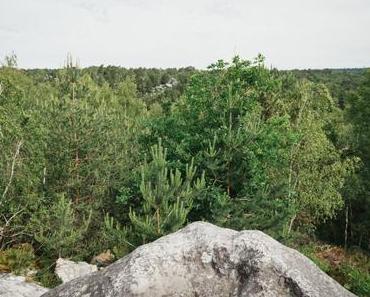 Forêt de Fontainebleau :  Les Gorges d’Apremont