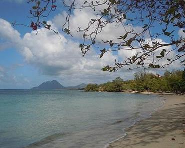 Séjour en Martinique : les plages de Sainte-Luce