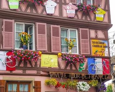Les plus belles pistes cyclables d’Alsace