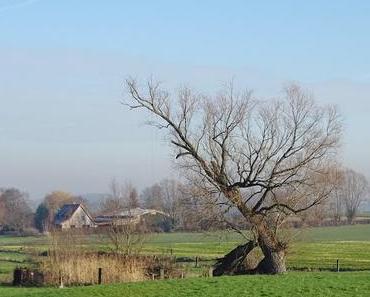 Silent sunday #6 l'hiver