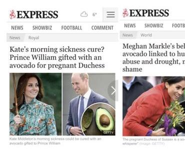 Harry, Meghan, the British media and the donkey sanctuary