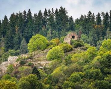 Sur les traces des Habsbourg à Thann