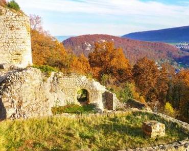 Le château du Landskron : histoire et visite