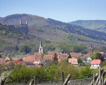 Mittelbergheim : un des plus beaux villages alsaciens