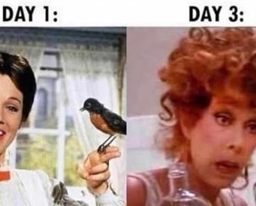 Ecole à la maison: le retour de la vengeance!