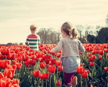 Que faire en Martinique avec des enfants ?