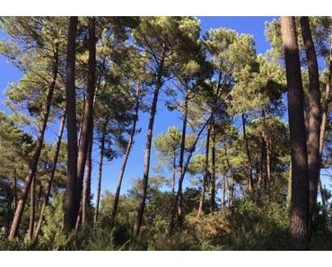 Sunny Monday…on a Tuesday!
